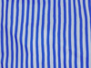 Blue Painted Stripe