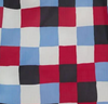 Painted Check