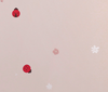 Ladybird