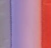 Gradient Stripe Poppy & Lilac
