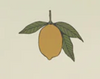Lemon
