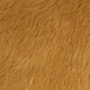 Golden Caramel