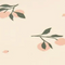 Peach / Sea Shell Mix