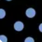Black & Sky Blue Micro Dot