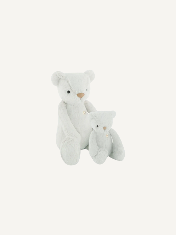 Snuggle Bunnies - George the Bear 30cm