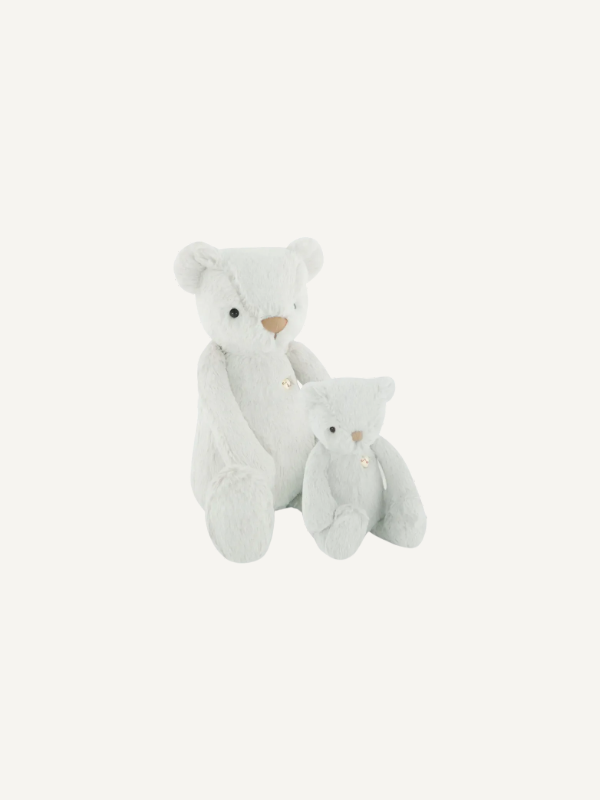 Snuggle Bunnies - George the Bear 20cm