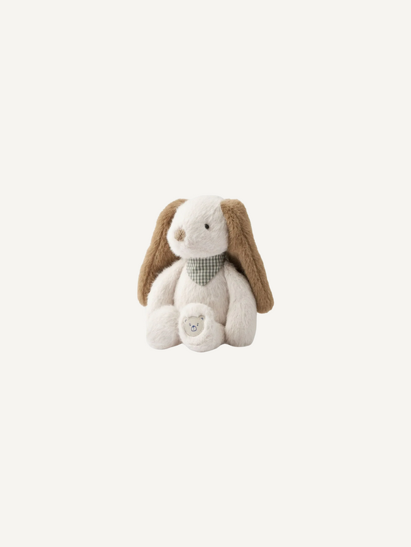 Binnie Dog Small Teddy