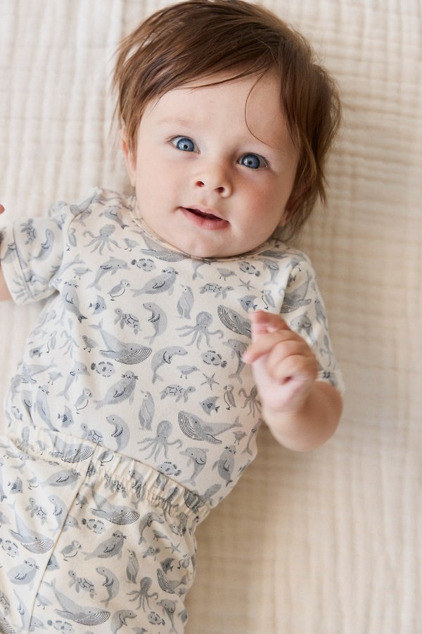 Organic Cotton Hudson Short Sleeve Bodysuit