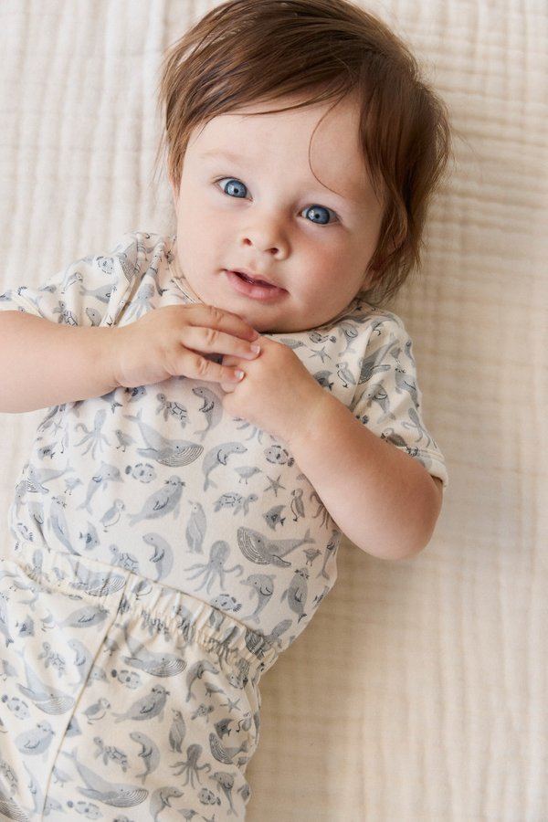 Organic Cotton Hudson Short Sleeve Bodysuit
