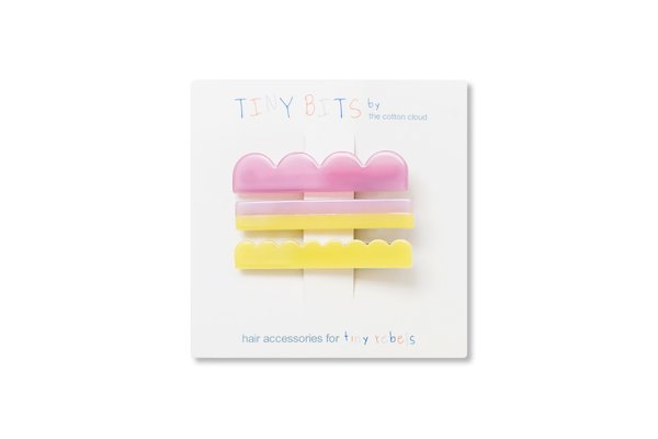 Hair Clip Set