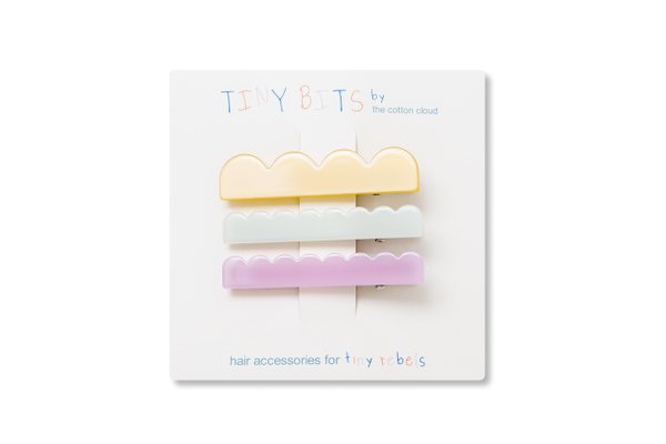 Hair Clip Set