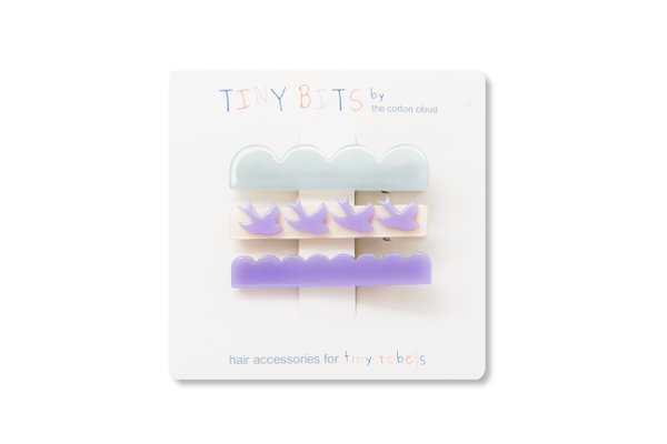 Hair Clip Set