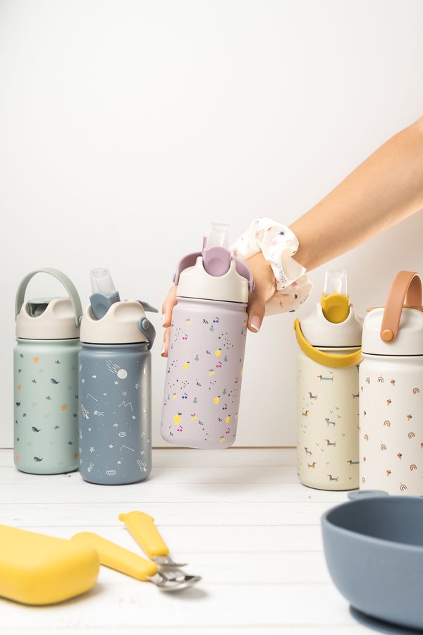 Stainless Steel Bottle
