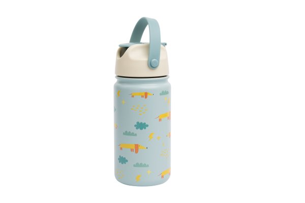 Stainless Steel Bottle