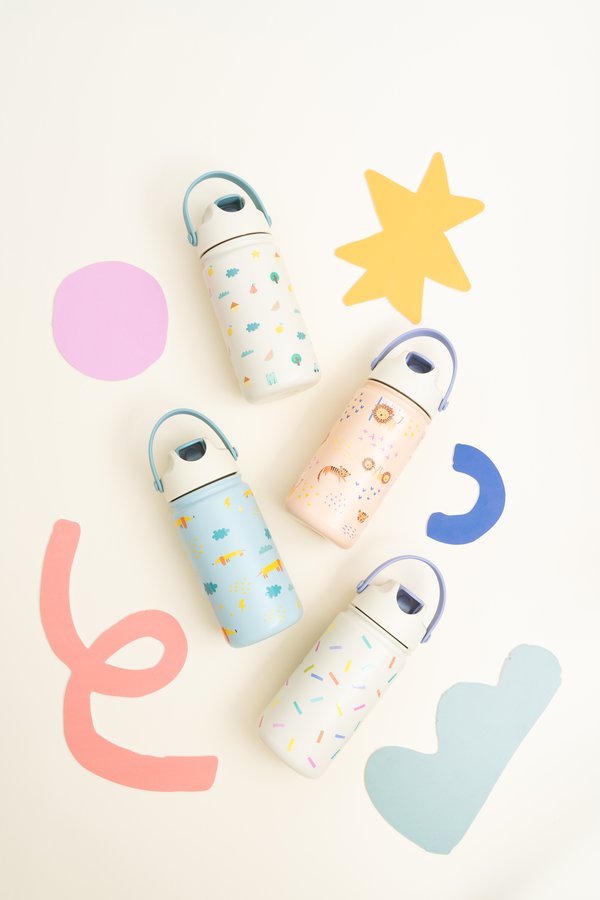 Stainless Steel Bottle