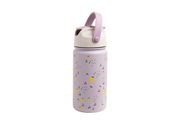 Stainless Steel Bottle