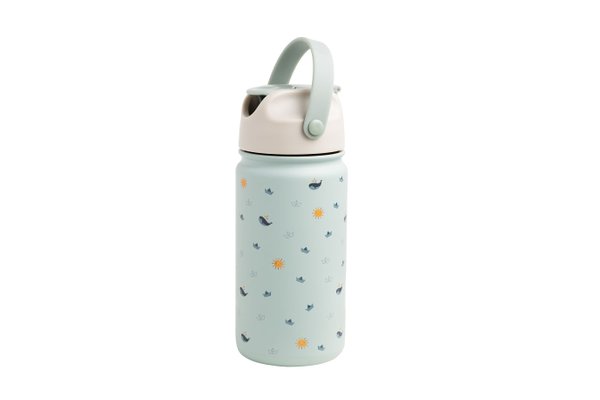 Stainless Steel Bottle