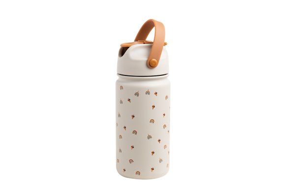 Stainless Steel Bottle