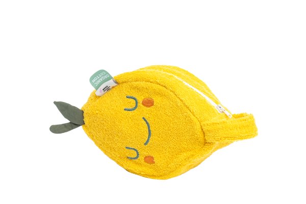 Toiletry Case Bag