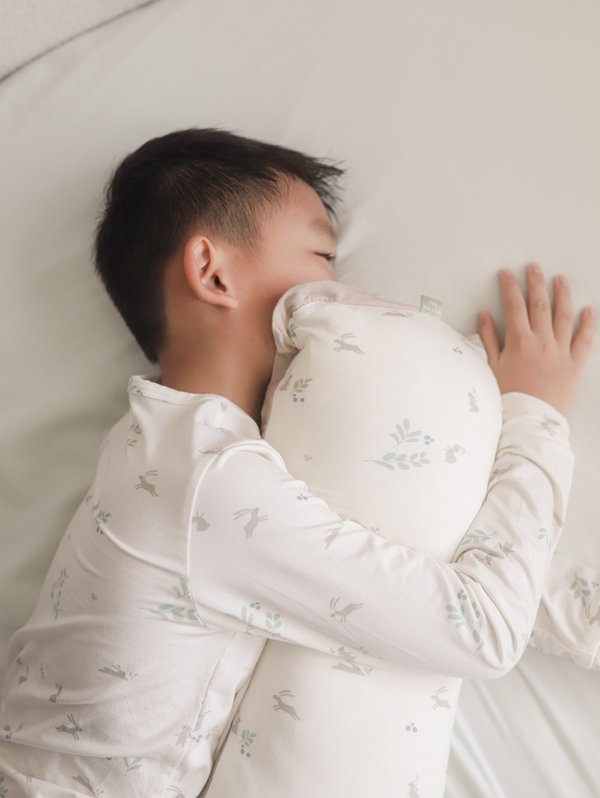 Cloud Soft Chou Chou Pillowcase