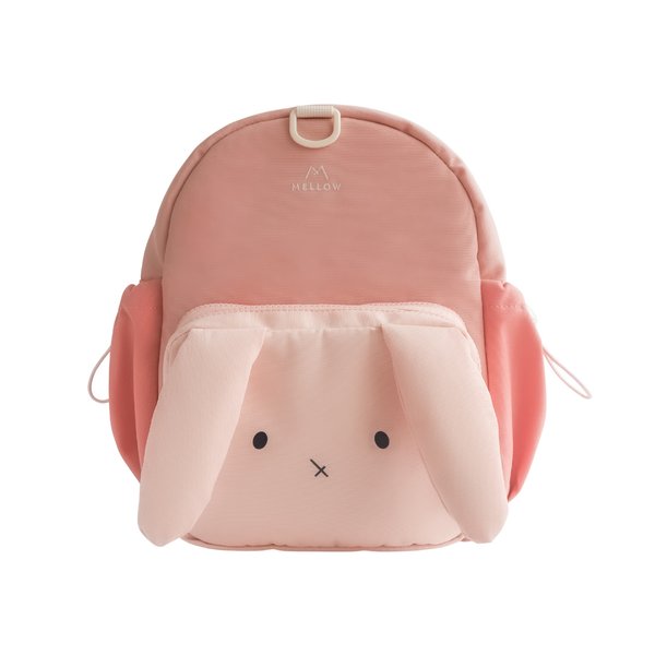 Convertible Children Backpack