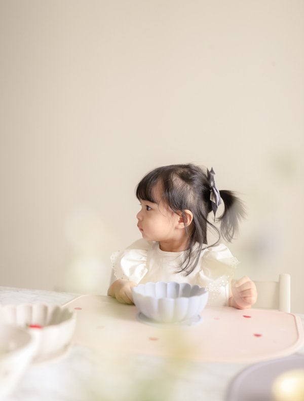 Fairy Baby Bib