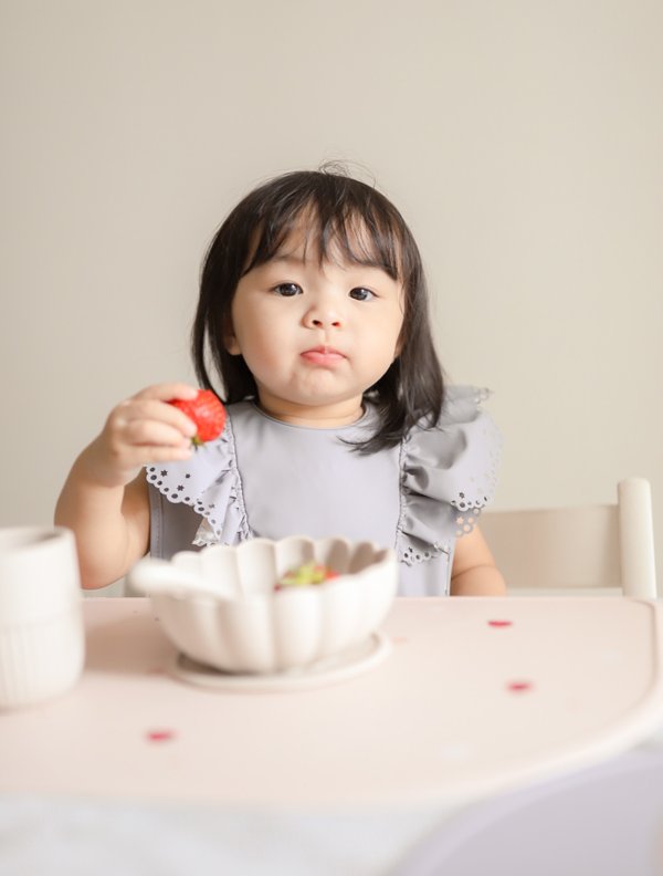 Fairy Baby Bib
