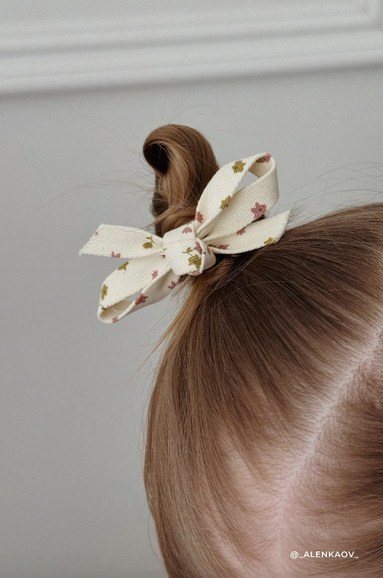 Charlotte Hair Clip Set