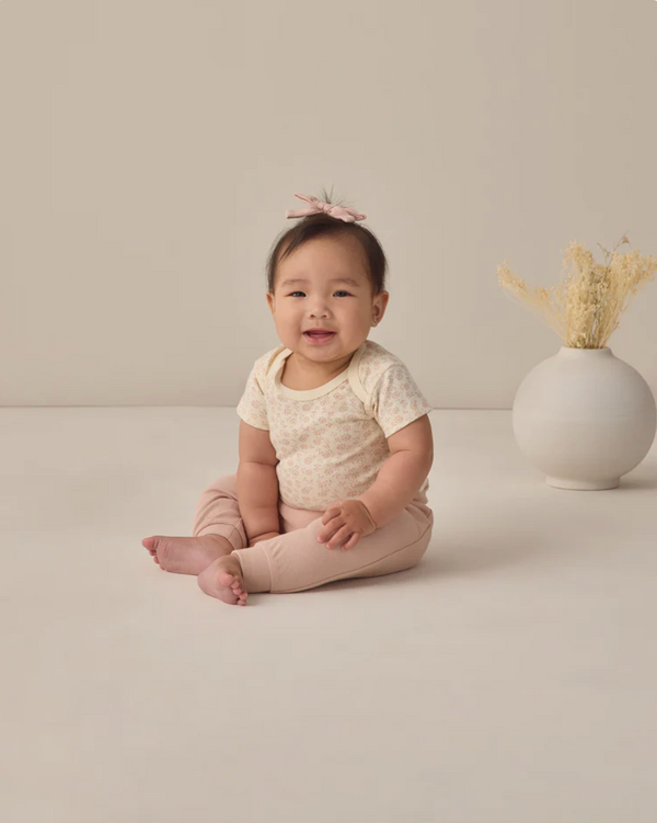 Short Sleeve Bodysuit Pack