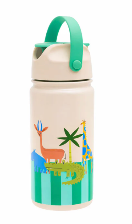 Stainless Steel Bottle