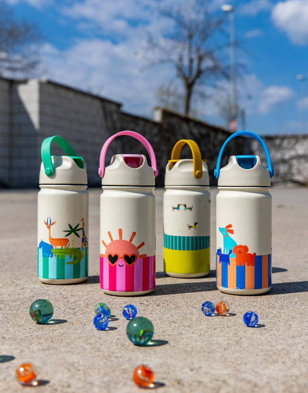 Stainless Steel Bottle