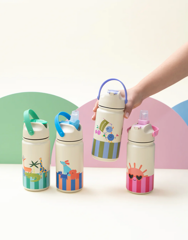 Stainless Steel Bottle