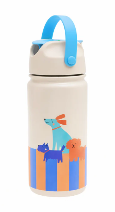 Stainless Steel Bottle