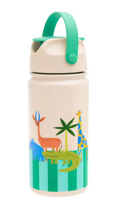 Stainless Steel Bottle