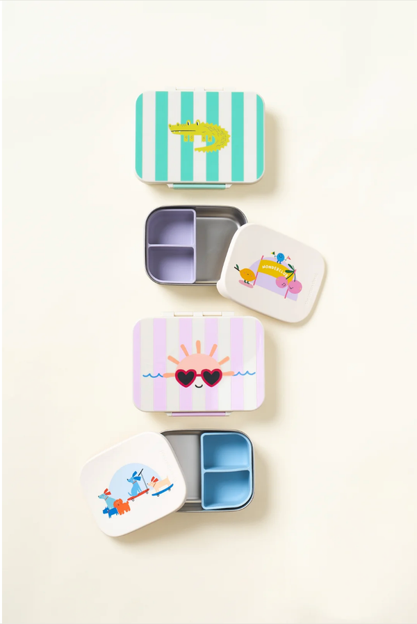 Stainless Steel Lunchbox